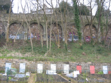 Offensive graffiti above the allotment gardens in India Place